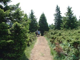 gyalogtúra, hargita, turizmus